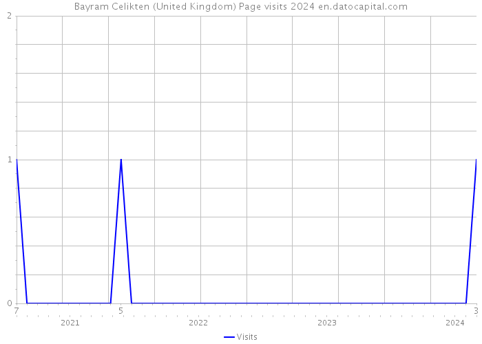 Bayram Celikten (United Kingdom) Page visits 2024 