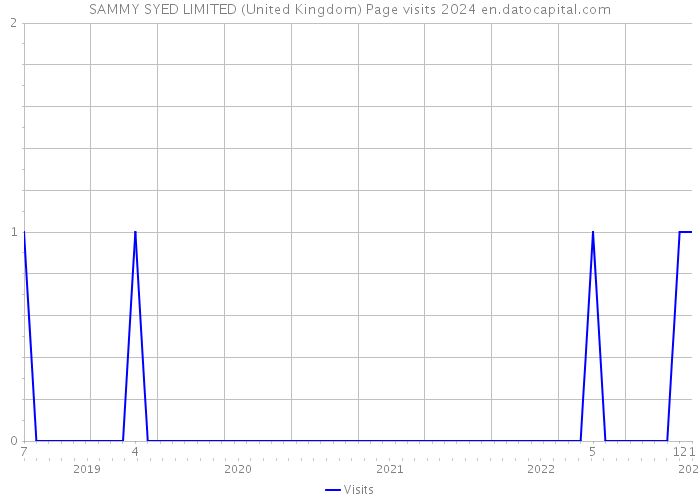 SAMMY SYED LIMITED (United Kingdom) Page visits 2024 