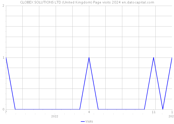 GLOBEX SOLUTIONS LTD (United Kingdom) Page visits 2024 