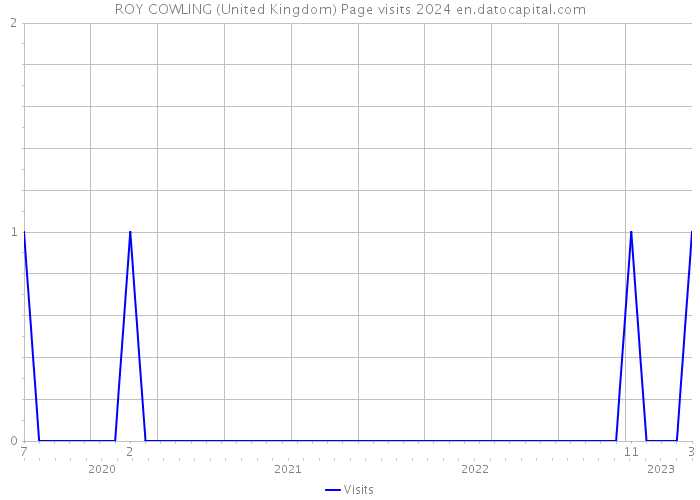 ROY COWLING (United Kingdom) Page visits 2024 