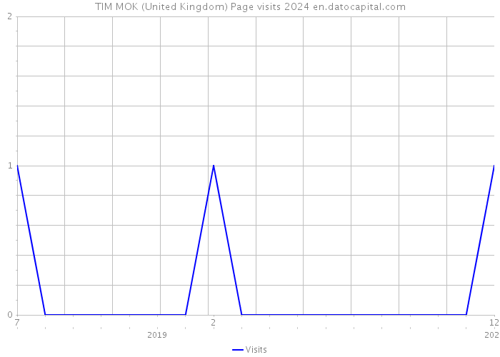 TIM MOK (United Kingdom) Page visits 2024 