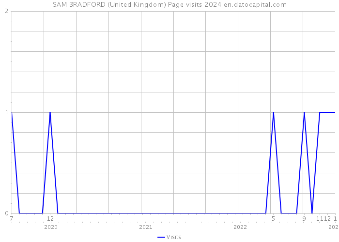 SAM BRADFORD (United Kingdom) Page visits 2024 