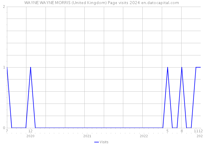 WAYNE WAYNE MORRIS (United Kingdom) Page visits 2024 