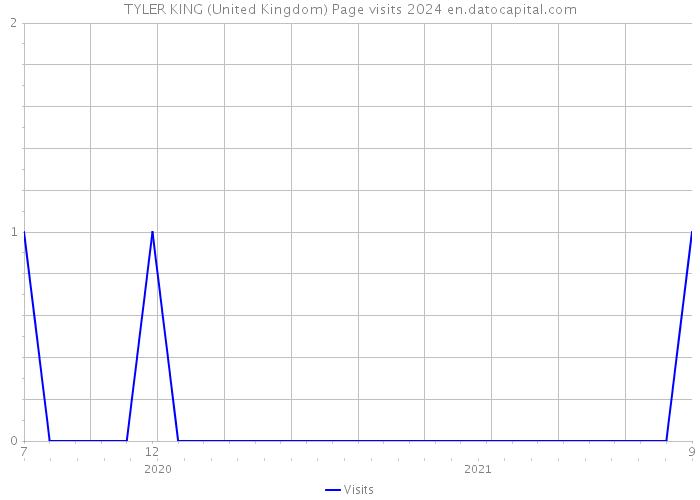 TYLER KING (United Kingdom) Page visits 2024 