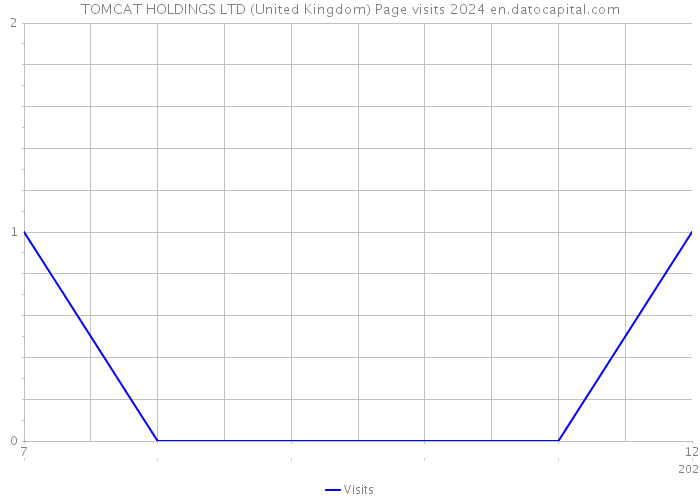 TOMCAT HOLDINGS LTD (United Kingdom) Page visits 2024 