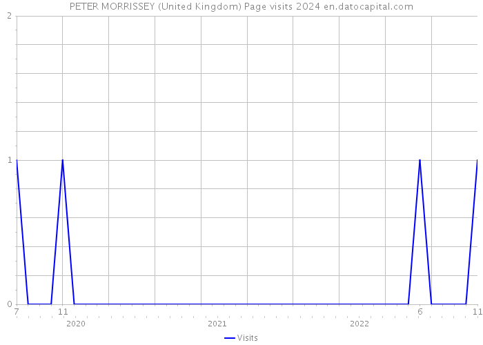 PETER MORRISSEY (United Kingdom) Page visits 2024 