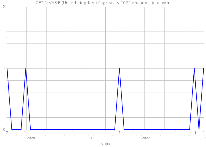 CETIN VASIF (United Kingdom) Page visits 2024 