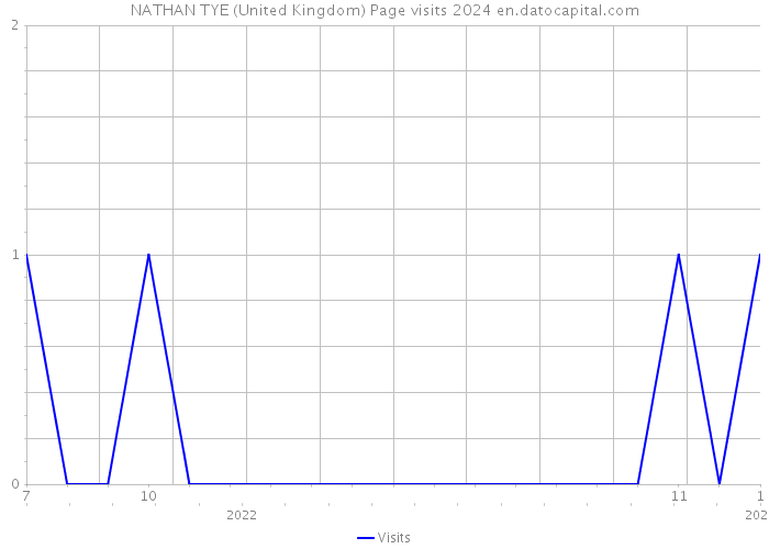 NATHAN TYE (United Kingdom) Page visits 2024 