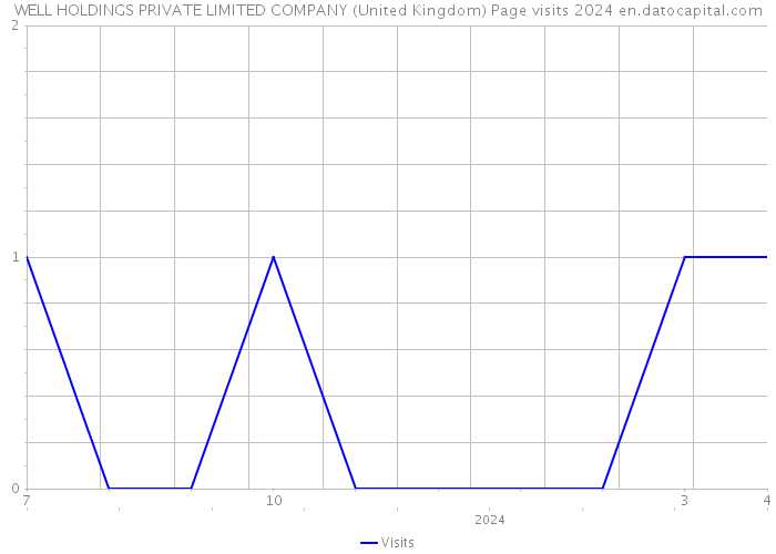 WELL HOLDINGS PRIVATE LIMITED COMPANY (United Kingdom) Page visits 2024 