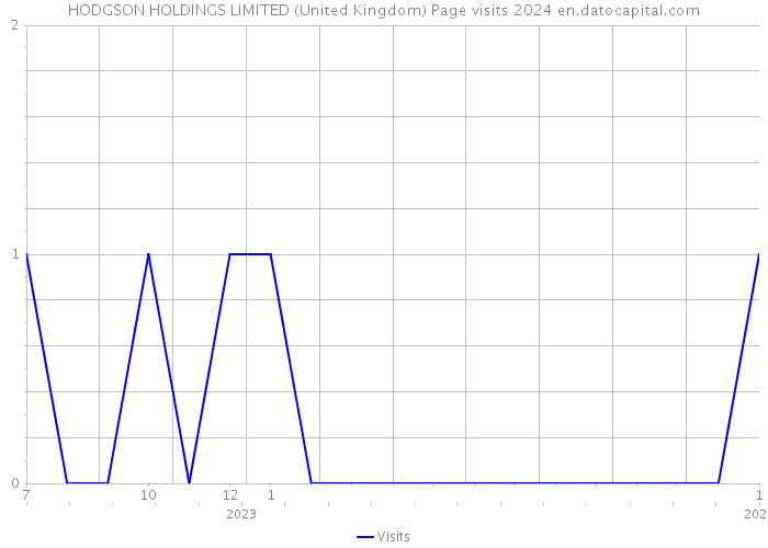 HODGSON HOLDINGS LIMITED (United Kingdom) Page visits 2024 