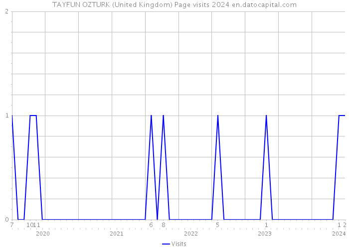 TAYFUN OZTURK (United Kingdom) Page visits 2024 