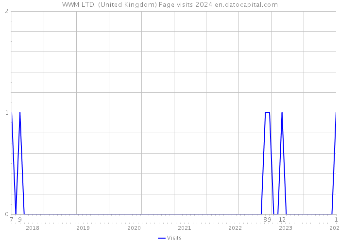 WWM LTD. (United Kingdom) Page visits 2024 