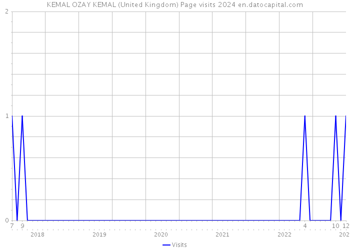 KEMAL OZAY KEMAL (United Kingdom) Page visits 2024 
