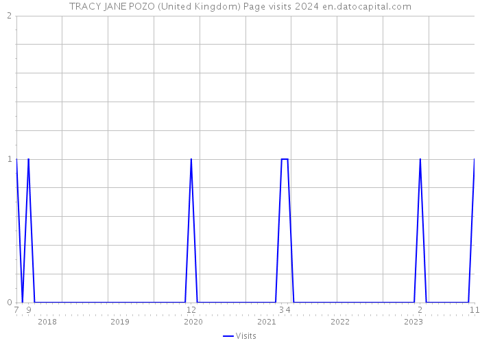 TRACY JANE POZO (United Kingdom) Page visits 2024 