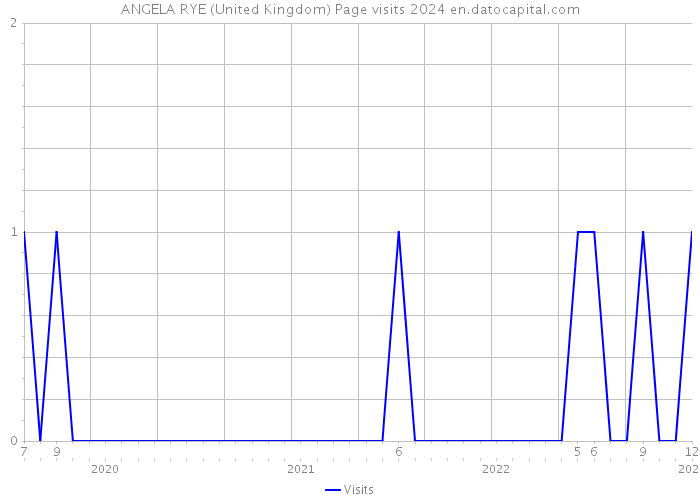 ANGELA RYE (United Kingdom) Page visits 2024 
