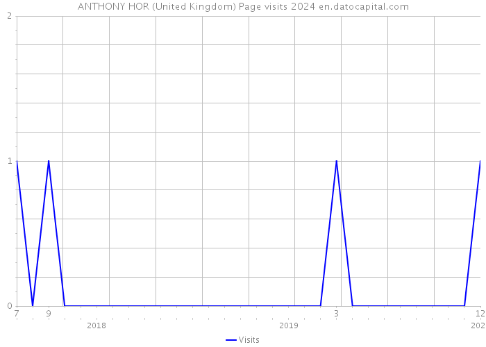 ANTHONY HOR (United Kingdom) Page visits 2024 