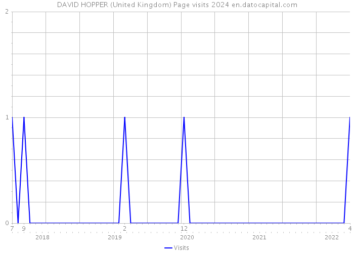 DAVID HOPPER (United Kingdom) Page visits 2024 