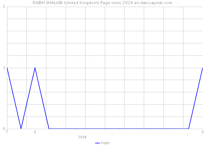 RABIH SHALABI (United Kingdom) Page visits 2024 