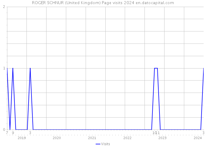 ROGER SCHNUR (United Kingdom) Page visits 2024 