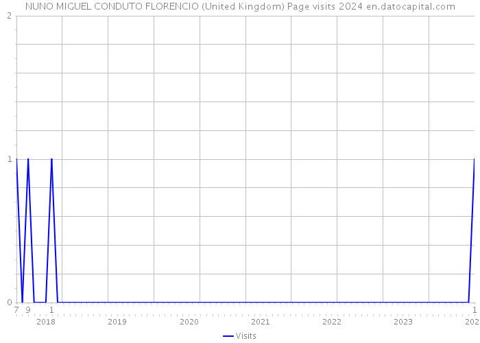 NUNO MIGUEL CONDUTO FLORENCIO (United Kingdom) Page visits 2024 