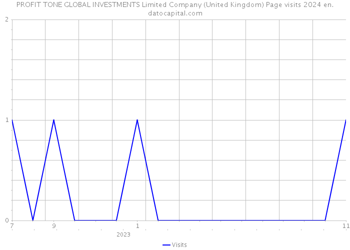 PROFIT TONE GLOBAL INVESTMENTS Limited Company (United Kingdom) Page visits 2024 