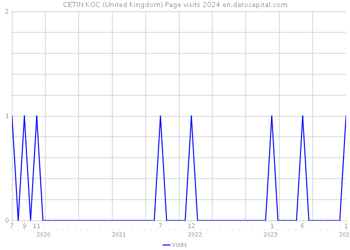 CETIN KOC (United Kingdom) Page visits 2024 