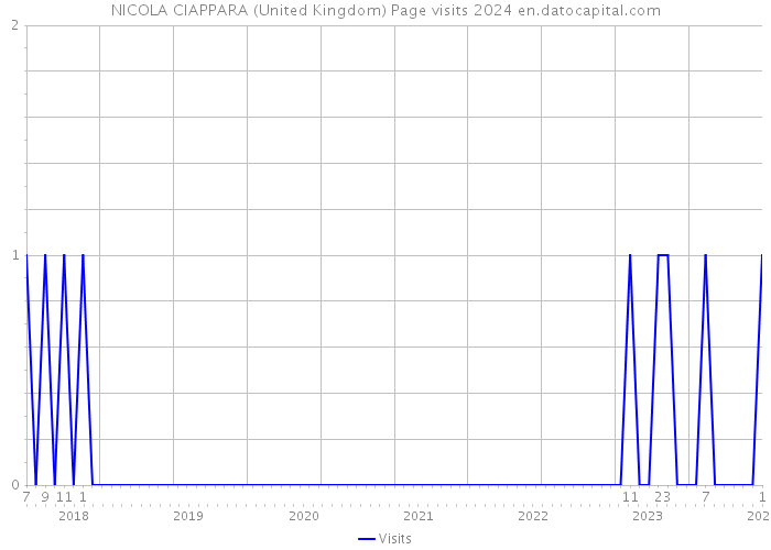 NICOLA CIAPPARA (United Kingdom) Page visits 2024 