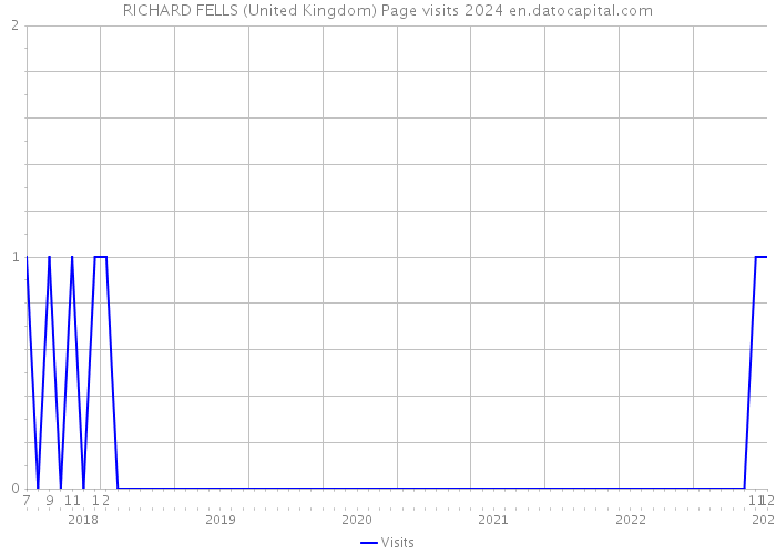 RICHARD FELLS (United Kingdom) Page visits 2024 