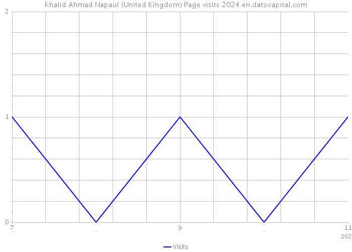 Khalid Ahmad Napaul (United Kingdom) Page visits 2024 