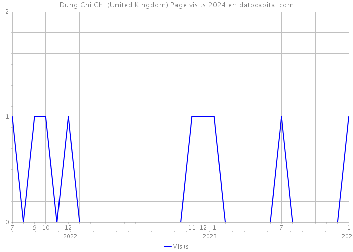 Dung Chi Chi (United Kingdom) Page visits 2024 