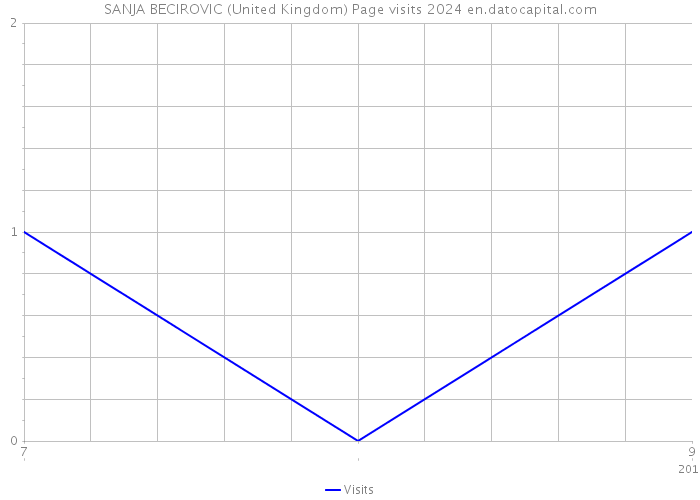 SANJA BECIROVIC (United Kingdom) Page visits 2024 
