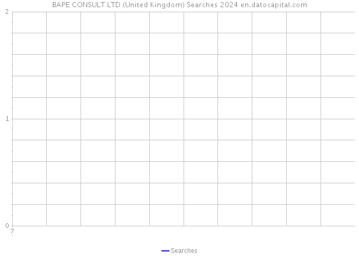 BAPE CONSULT LTD (United Kingdom) Searches 2024 