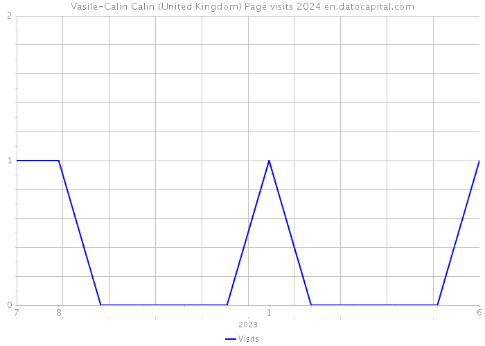 Vasile-Calin Calin (United Kingdom) Page visits 2024 