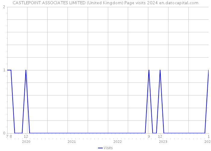 CASTLEPOINT ASSOCIATES LIMITED (United Kingdom) Page visits 2024 