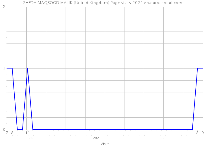 SHEDA MAQSOOD MALIK (United Kingdom) Page visits 2024 