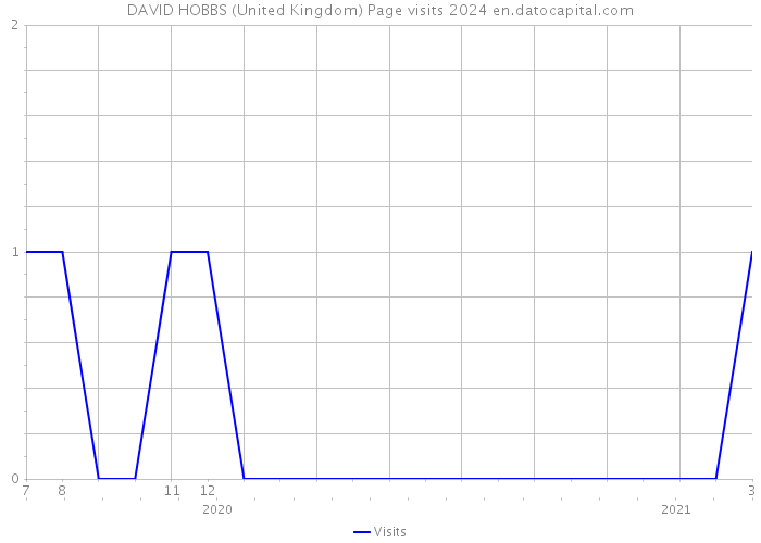 DAVID HOBBS (United Kingdom) Page visits 2024 