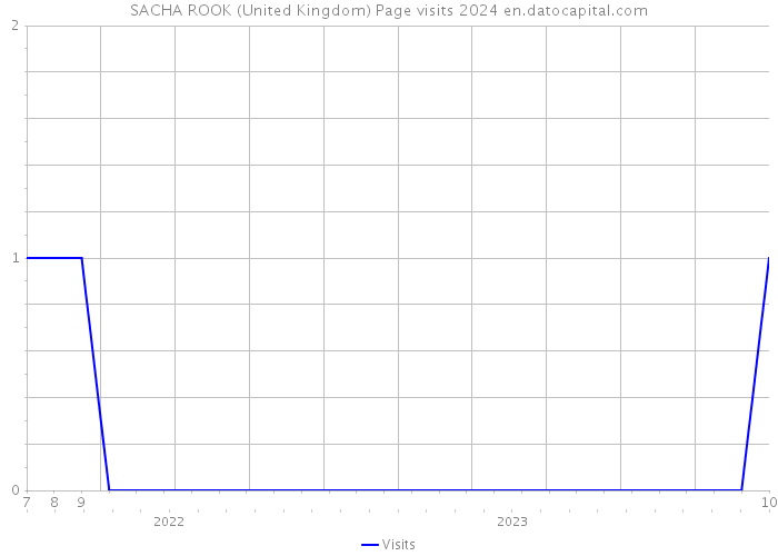 SACHA ROOK (United Kingdom) Page visits 2024 