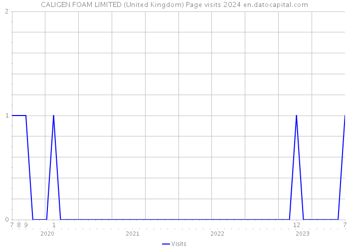 CALIGEN FOAM LIMITED (United Kingdom) Page visits 2024 