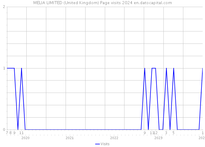 MELIA LIMITED (United Kingdom) Page visits 2024 