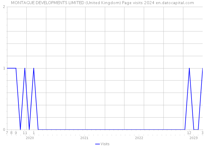 MONTAGUE DEVELOPMENTS LIMITED (United Kingdom) Page visits 2024 