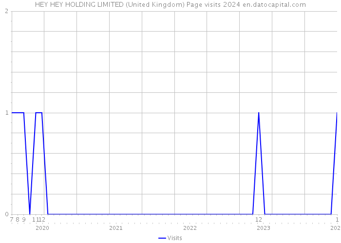 HEY HEY HOLDING LIMITED (United Kingdom) Page visits 2024 