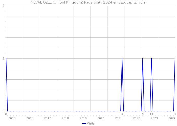 NEVAL OZEL (United Kingdom) Page visits 2024 