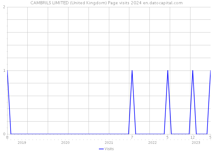 CAMBRILS LIMITED (United Kingdom) Page visits 2024 