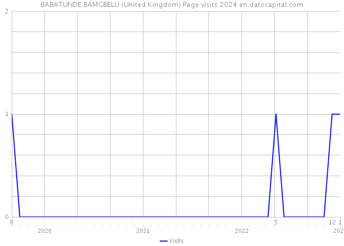BABATUNDE BAMGBELU (United Kingdom) Page visits 2024 