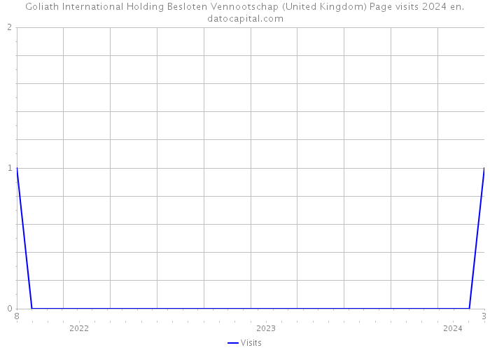 Goliath International Holding Besloten Vennootschap (United Kingdom) Page visits 2024 