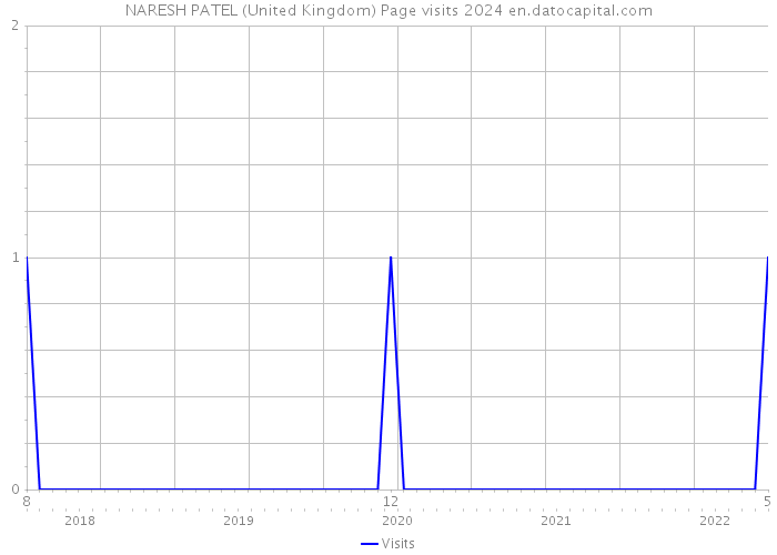 NARESH PATEL (United Kingdom) Page visits 2024 