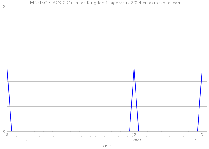 THINKING BLACK CIC (United Kingdom) Page visits 2024 