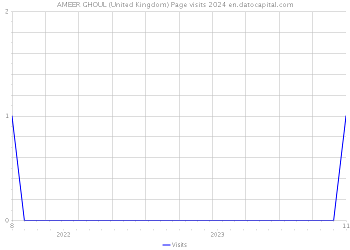 AMEER GHOUL (United Kingdom) Page visits 2024 