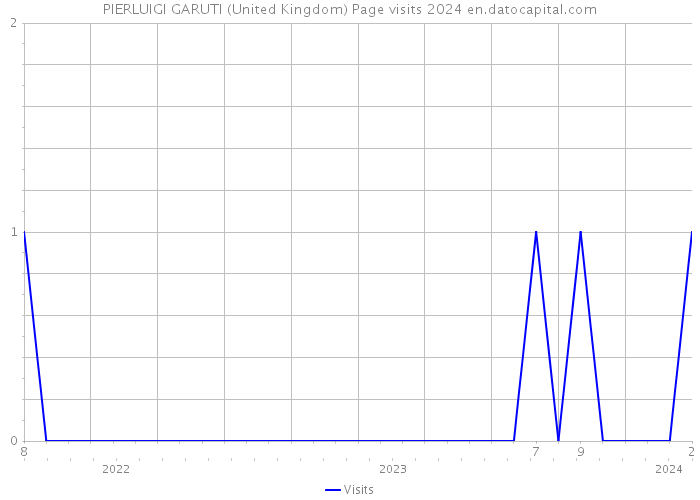PIERLUIGI GARUTI (United Kingdom) Page visits 2024 