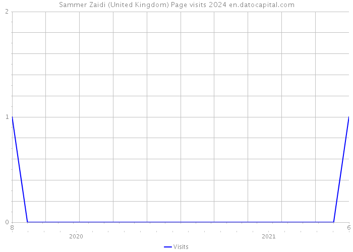 Sammer Zaidi (United Kingdom) Page visits 2024 